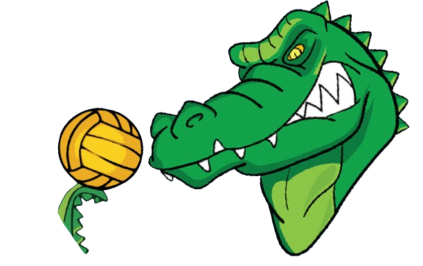 Crocos Logo